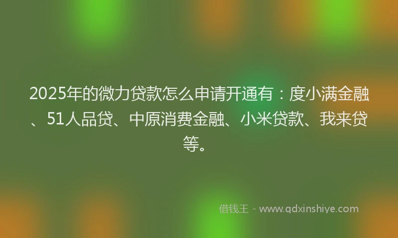 2025年的微力贷款怎么申请开通有：度小满金融、51人品贷、中原消费金融、小米贷款、我来贷等。