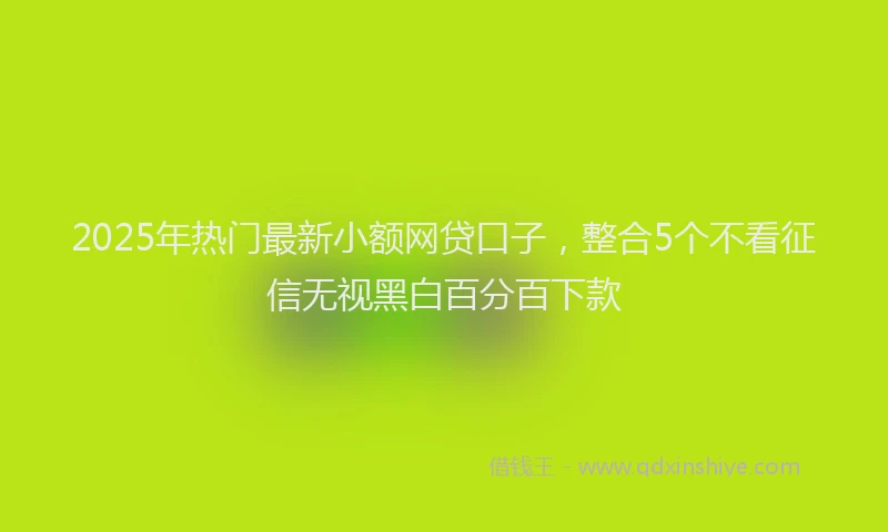 2025年热门最新小额网贷口子，整合5个不看征信无视黑白百分百下款