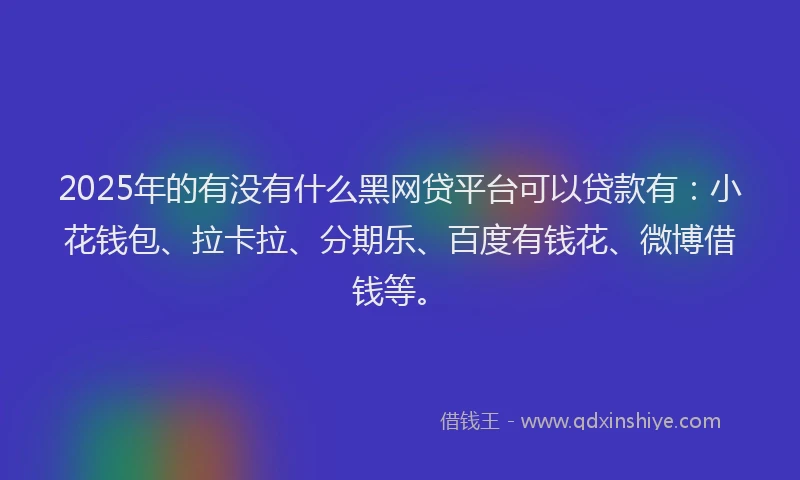 2025年的有没有什么黑网贷平台可以贷款有：小花钱包、拉卡拉、分期乐、百度有钱花、微博借钱等。