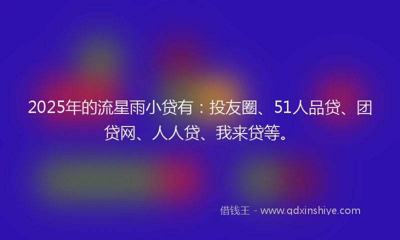 2025年的流星雨小贷有：投友圈、51人品贷、团贷网、人人贷、我来贷等。