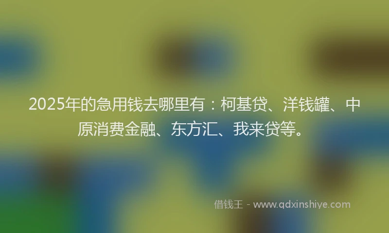 2025年的急用钱去哪里有：柯基贷、洋钱罐、中原消费金融、东方汇、我来贷等。