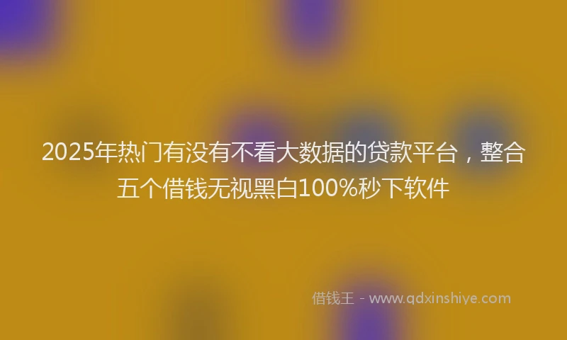 2025年热门有没有不看大数据的贷款平台，整合五个借钱无视黑白100%秒下软件