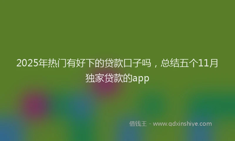 2025年热门有好下的贷款口子吗，总结五个11月独家贷款的app