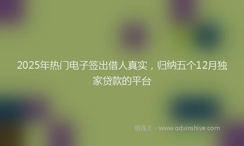 2025年热门电子签出借人真实，归纳五个12月独家贷款的平台