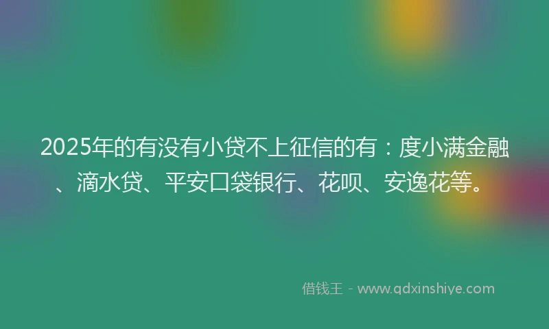 2025年的有没有小贷不上征信的有：度小满金融、滴水贷、平安口袋银行、花呗、安逸花等。