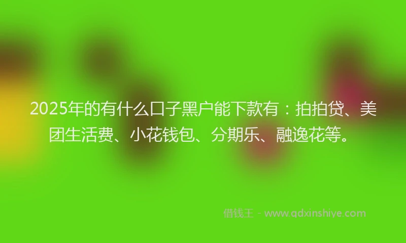 2025年的有什么口子黑户能下款有：拍拍贷、美团生活费、小花钱包、分期乐、融逸花等。