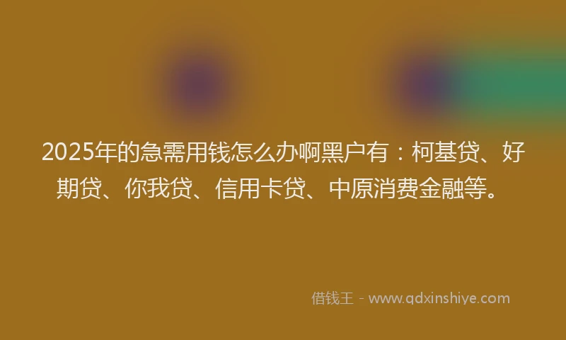 2025年的急需用钱怎么办啊黑户有：柯基贷、好期贷、你我贷、信用卡贷、中原消费金融等。