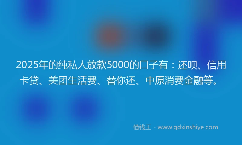 2025年的纯私人放款5000的口子有：还呗、信用卡贷、美团生活费、替你还、中原消费金融等。
