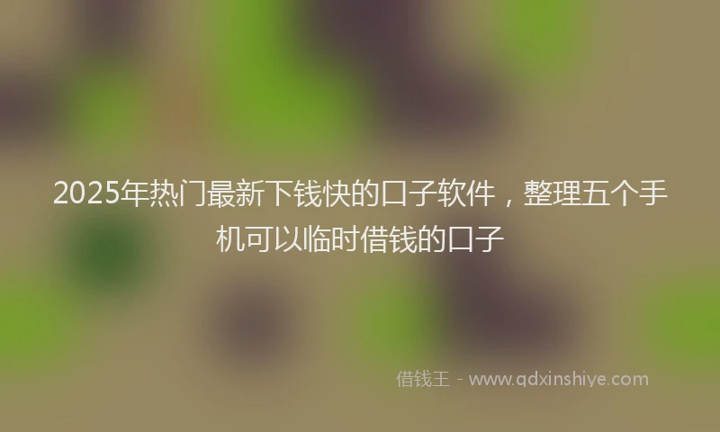 2025年热门最新下钱快的口子软件，整理五个手机可以临时借钱的口子