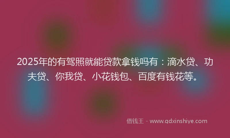 2025年的有驾照就能贷款拿钱吗有：滴水贷、功夫贷、你我贷、小花钱包、百度有钱花等。