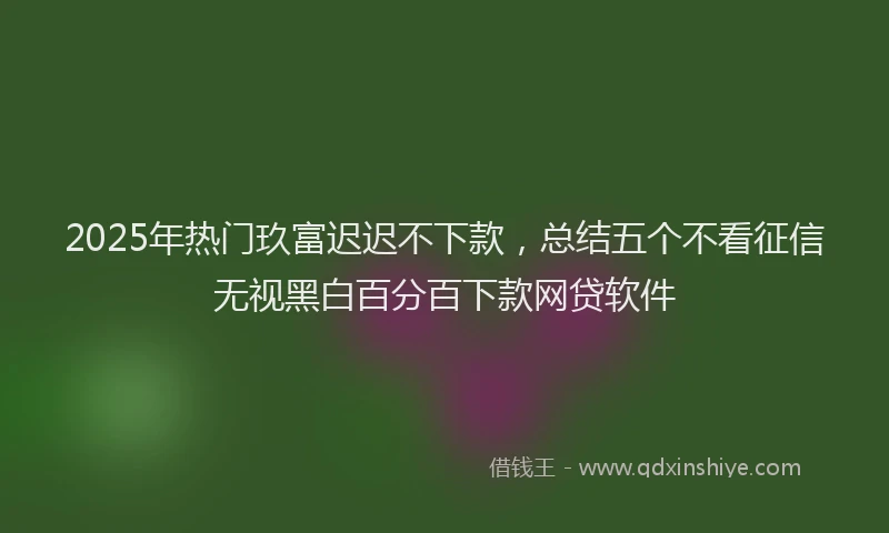2025年热门玖富迟迟不下款，总结五个不看征信无视黑白百分百下款网贷软件