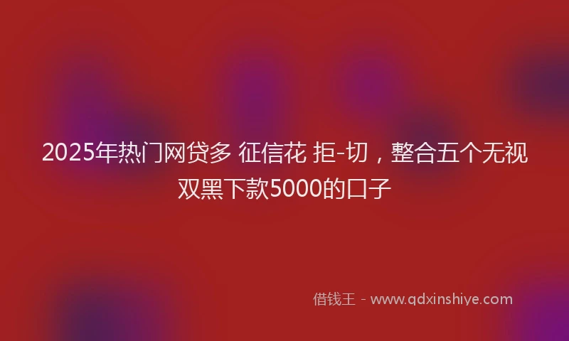 2025年热门网贷多 征信花 拒-切，整合五个无视双黑下款5000的口子