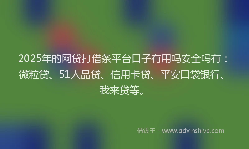 2025年的网贷打借条平台口子有用吗安全吗有：微粒贷、51人品贷、信用卡贷、平安口袋银行、我来贷等。