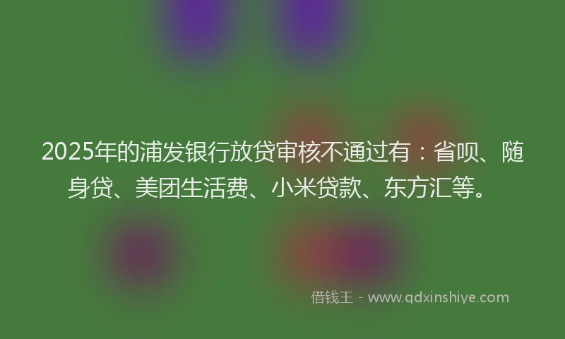 2025年的浦发银行放贷审核不通过有：省呗、随身贷、美团生活费、小米贷款、东方汇等。