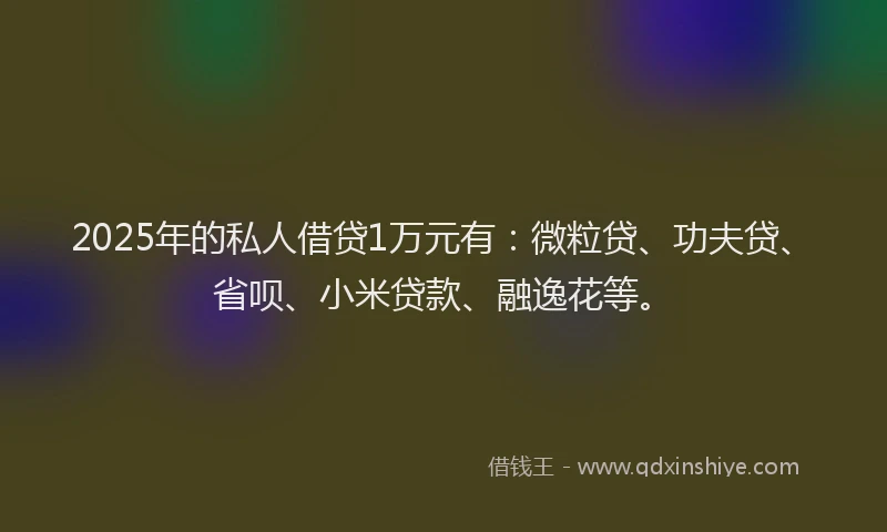 2025年的私人借贷1万元有：微粒贷、功夫贷、省呗、小米贷款、融逸花等。