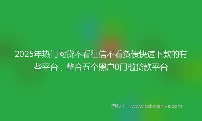 2025年热门网贷不看征信不看负债快速下款的有些平台，整合五个黑户0门槛贷款平台