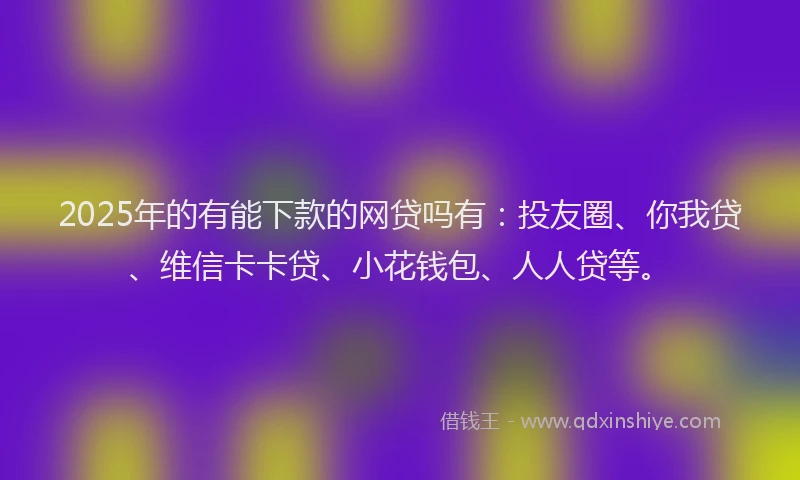 2025年的有能下款的网贷吗有：投友圈、你我贷、维信卡卡贷、小花钱包、人人贷等。