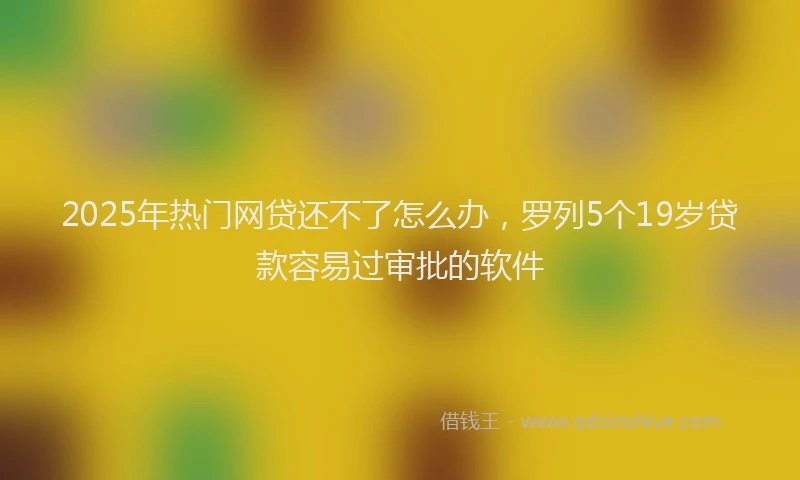 2025年热门网贷还不了怎么办，罗列5个19岁贷款容易过审批的软件
