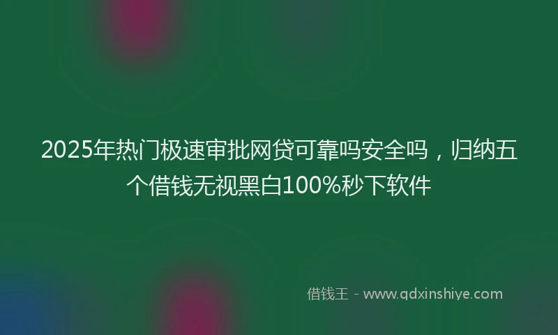 2025年热门极速审批网贷可靠吗安全吗，归纳五个借钱无视黑白100%秒下软件