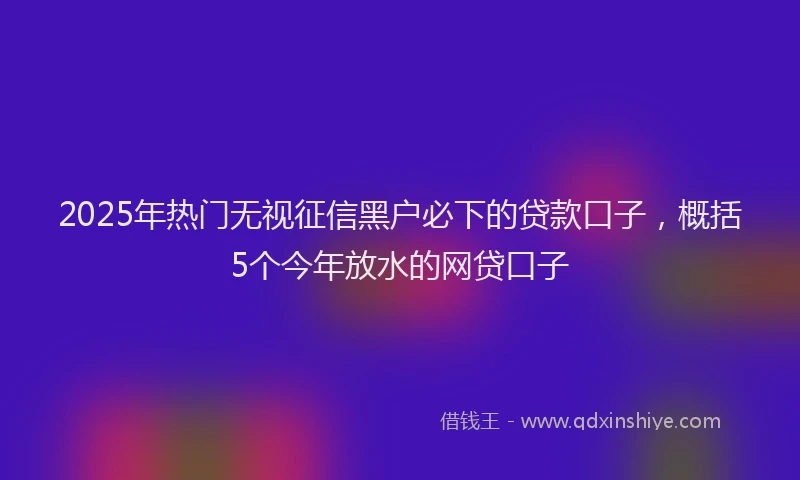 2025年热门无视征信黑户必下的贷款口子，概括5个今年放水的网贷口子