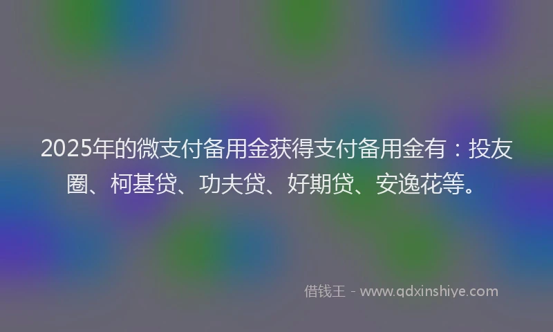 2025年的微支付备用金获得支付备用金有：投友圈、柯基贷、功夫贷、好期贷、安逸花等。