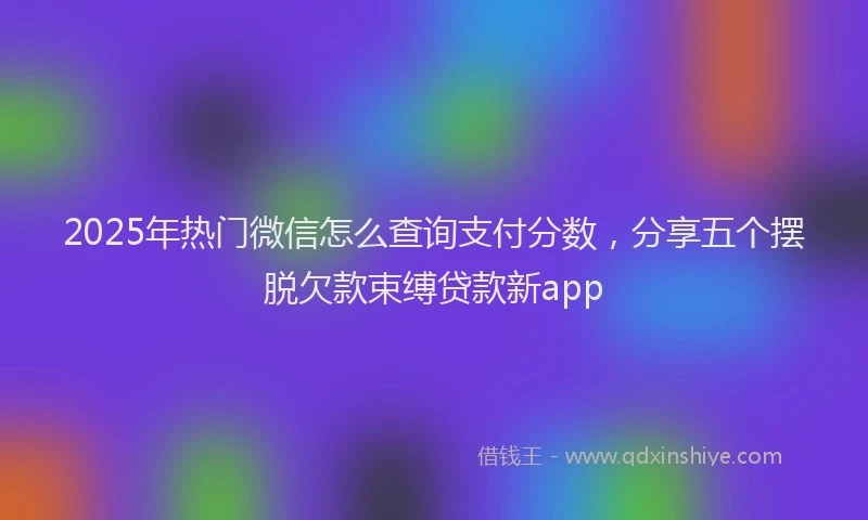 2025年热门微信怎么查询支付分数，分享五个摆脱欠款束缚贷款新app