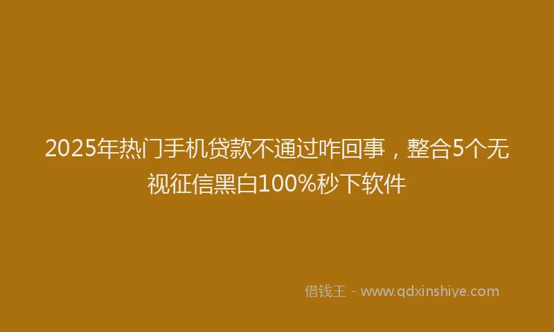 2025年热门手机贷款不通过咋回事，整合5个无视征信黑白100%秒下软件