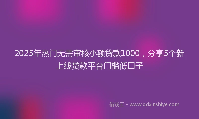 2025年热门无需审核小额贷款1000，分享5个新上线贷款平台门槛低口子