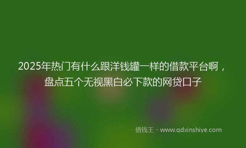 2025年热门有什么跟洋钱罐一样的借款平台啊，盘点五个无视黑白必下款的网贷口子