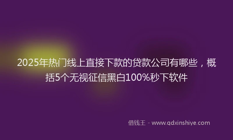 2025年热门线上直接下款的贷款公司有哪些，概括5个无视征信黑白100%秒下软件