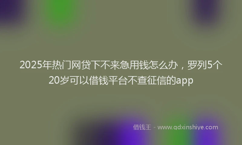 2025年热门网贷下不来急用钱怎么办，罗列5个20岁可以借钱平台不查征信的app