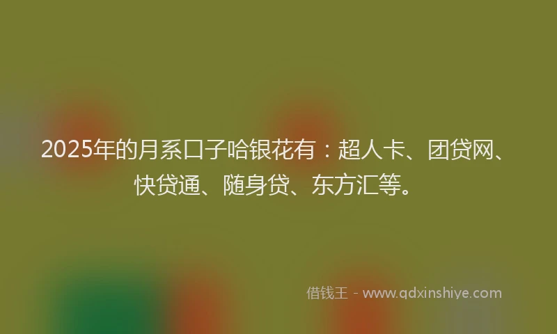 2025年的月系口子哈银花有：超人卡、团贷网、快贷通、随身贷、东方汇等。