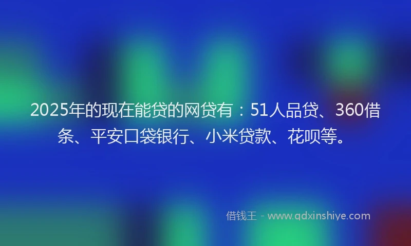 2025年的现在能贷的网贷有：51人品贷、360借条、平安口袋银行、小米贷款、花呗等。