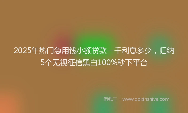 2025年热门急用钱小额贷款一千利息多少，归纳5个无视征信黑白100%秒下平台