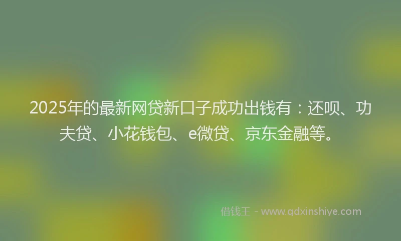 2025年的最新网贷新口子成功出钱有：还呗、功夫贷、小花钱包、e微贷、京东金融等。
