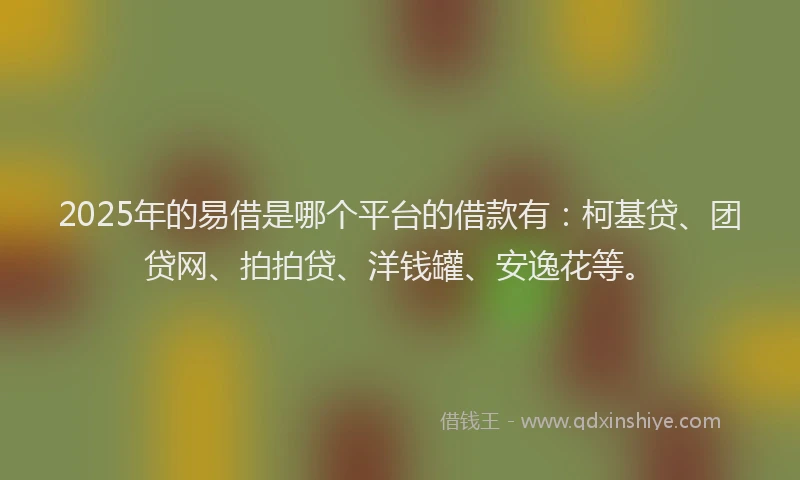 2025年的易借是哪个平台的借款有：柯基贷、团贷网、拍拍贷、洋钱罐、安逸花等。