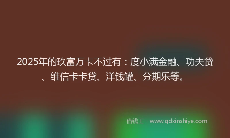 2025年的玖富万卡不过有：度小满金融、功夫贷、维信卡卡贷、洋钱罐、分期乐等。