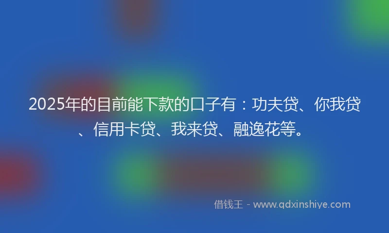 2025年的目前能下款的口子有：功夫贷、你我贷、信用卡贷、我来贷、融逸花等。