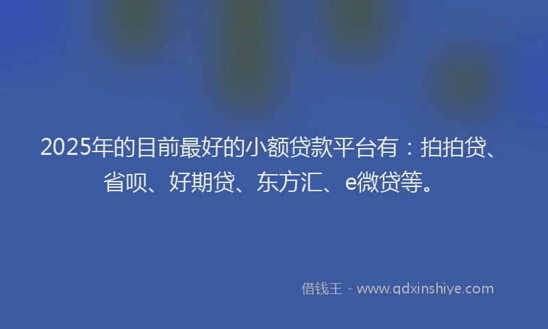 2025年的目前最好的小额贷款平台有：拍拍贷、省呗、好期贷、东方汇、e微贷等。