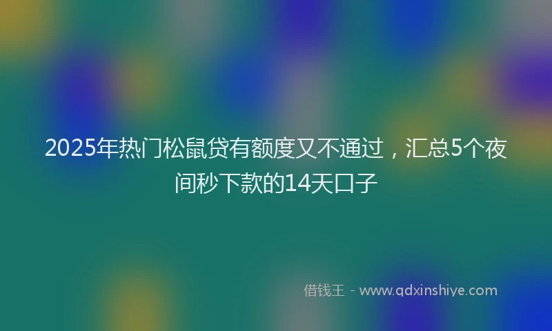 2025年热门松鼠贷有额度又不通过，汇总5个夜间秒下款的14天口子