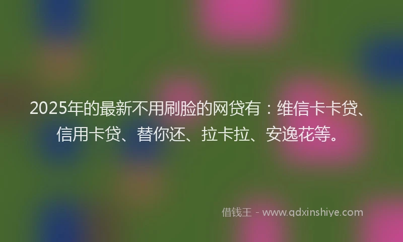 2025年的最新不用刷脸的网贷有：维信卡卡贷、信用卡贷、替你还、拉卡拉、安逸花等。