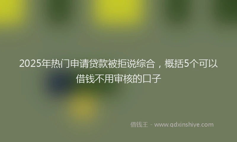 2025年热门申请贷款被拒说综合，概括5个可以借钱不用审核的口子