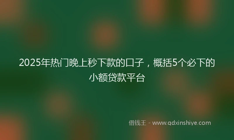 2025年热门晚上秒下款的口子，概括5个必下的小额贷款平台