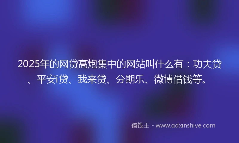 2025年的网贷高炮集中的网站叫什么有：功夫贷、平安i贷、我来贷、分期乐、微博借钱等。