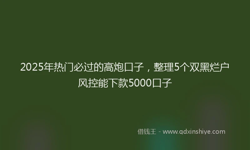 2025年热门必过的高炮口子，整理5个双黑烂户风控能下款5000口子