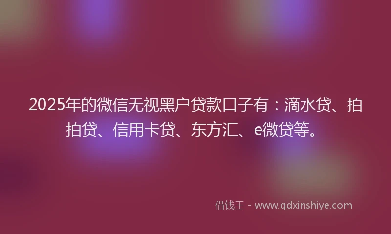 2025年的微信无视黑户贷款口子有：滴水贷、拍拍贷、信用卡贷、东方汇、e微贷等。