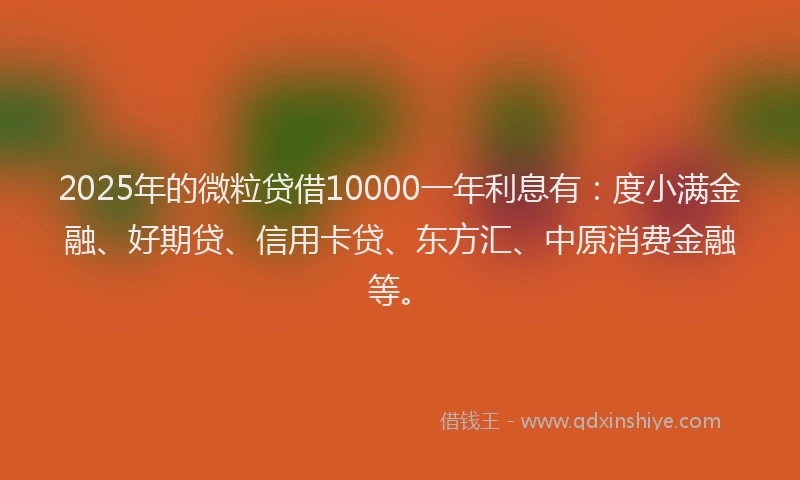 2025年的微粒贷借10000一年利息有：度小满金融、好期贷、信用卡贷、东方汇、中原消费金融等。
