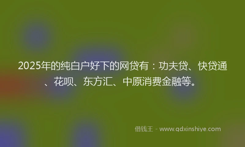 2025年的纯白户好下的网贷有：功夫贷、快贷通、花呗、东方汇、中原消费金融等。
