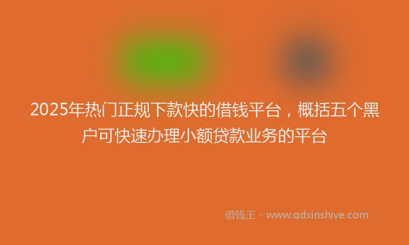 2025年热门正规下款快的借钱平台，概括五个黑户可快速办理小额贷款业务的平台