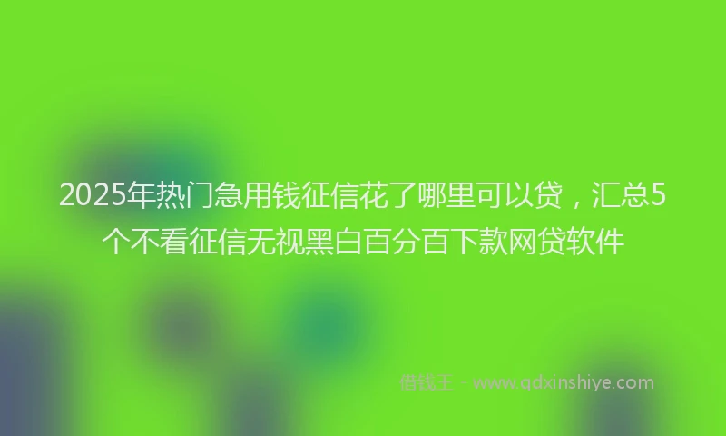 2025年热门急用钱征信花了哪里可以贷，汇总5个不看征信无视黑白百分百下款网贷软件